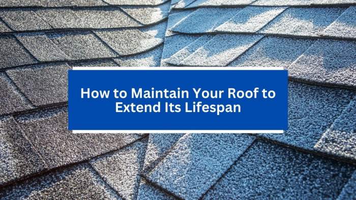 How to Maintain Your Roof to Extend Its Lifespan